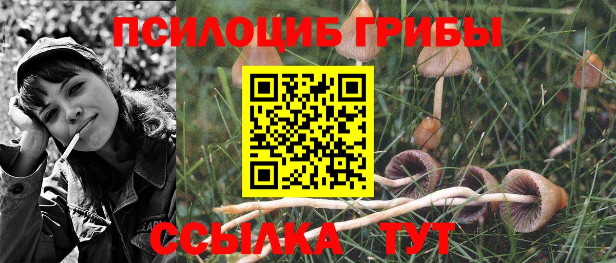 Галлюциногенные грибы Psilocybine cubensis  Вход с VPN  Галлюциногенные грибы Psilocybine cubensis  Домодедово 
