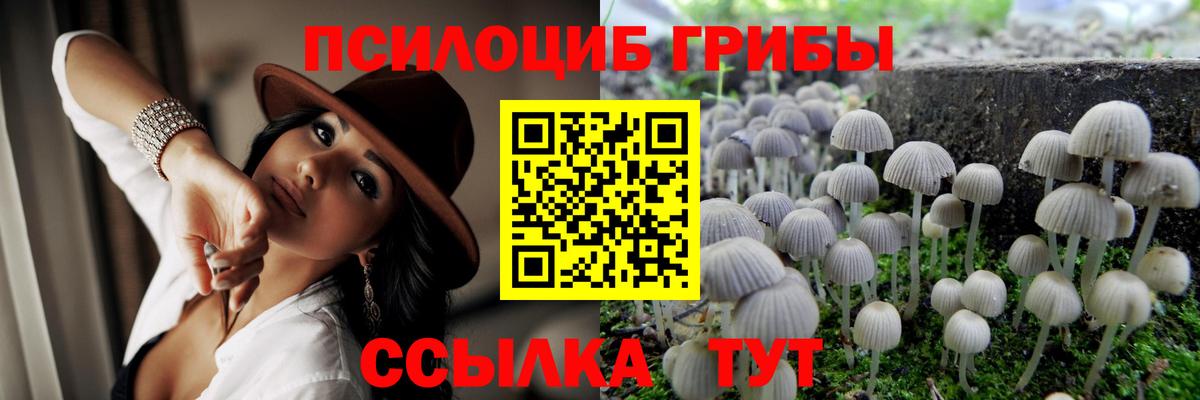 Галлюциногенные грибы Psilocybe Домодедово